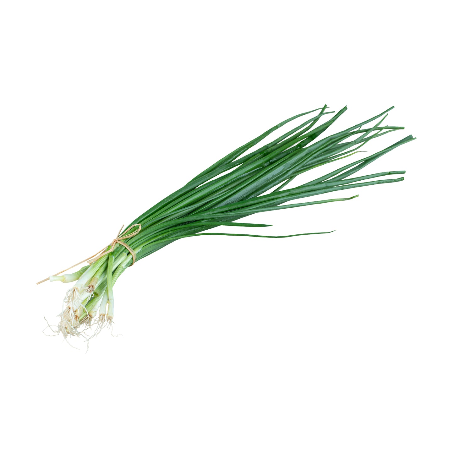 Ciboulette displey 25g