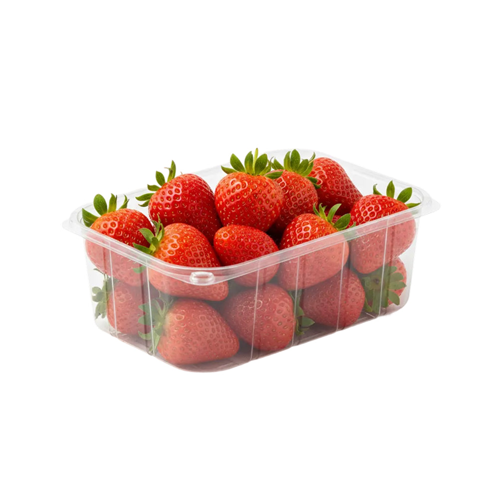 Frutilla Pote grande