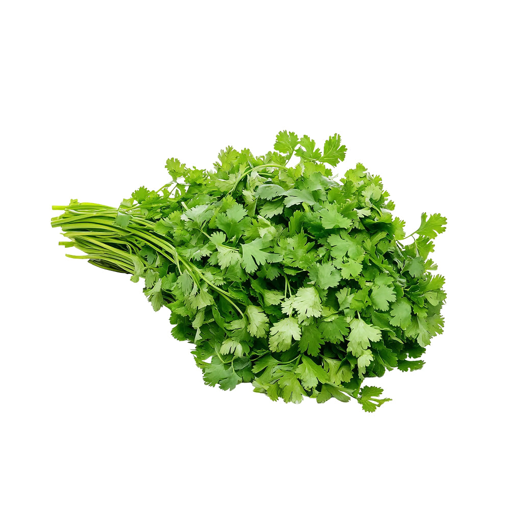 Cilantro 120g Paquete