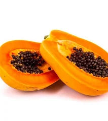 Papaya Tropical a granel kg